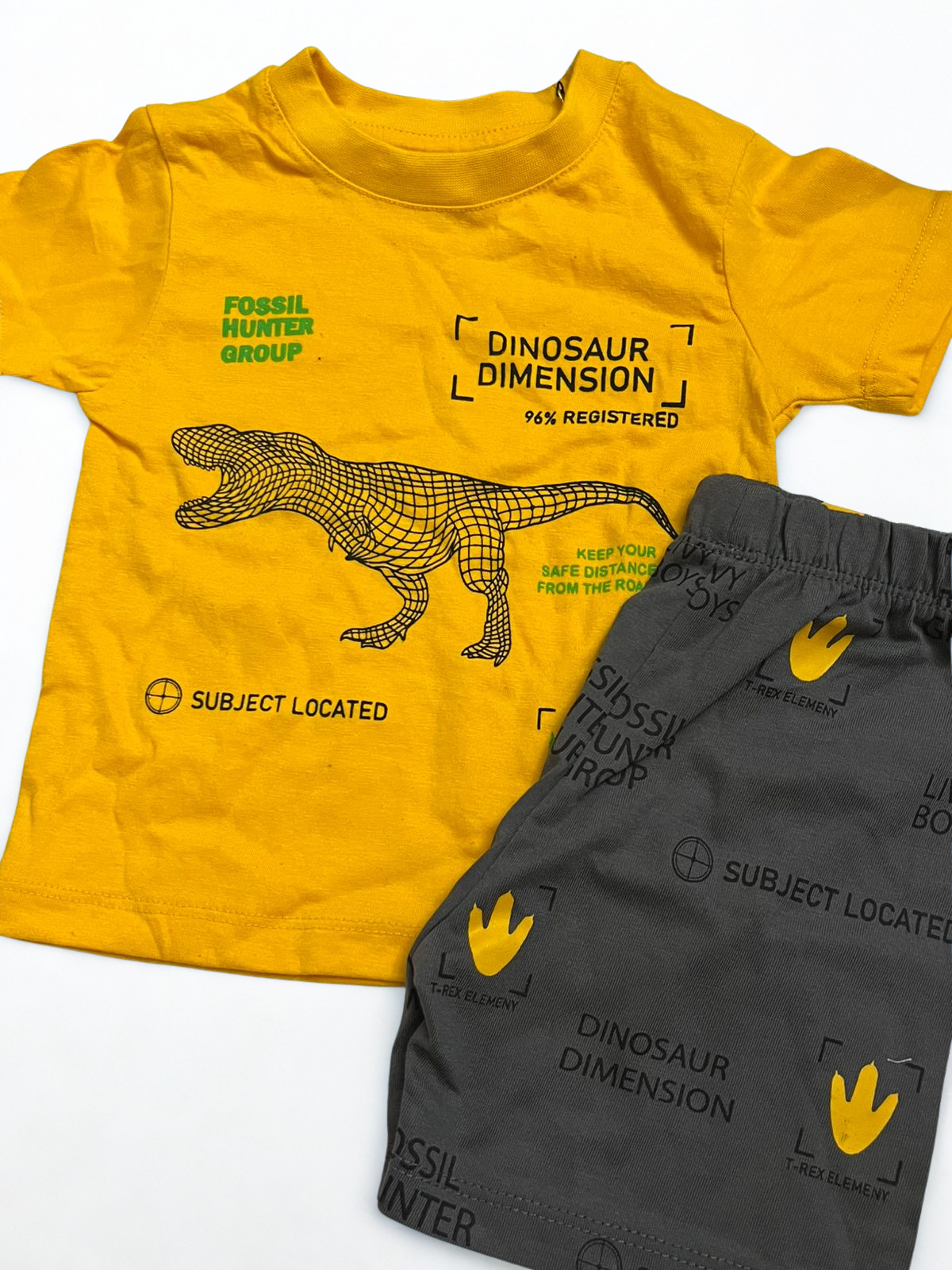 Dino set