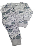 Dino Gray Fleece Tracksuit