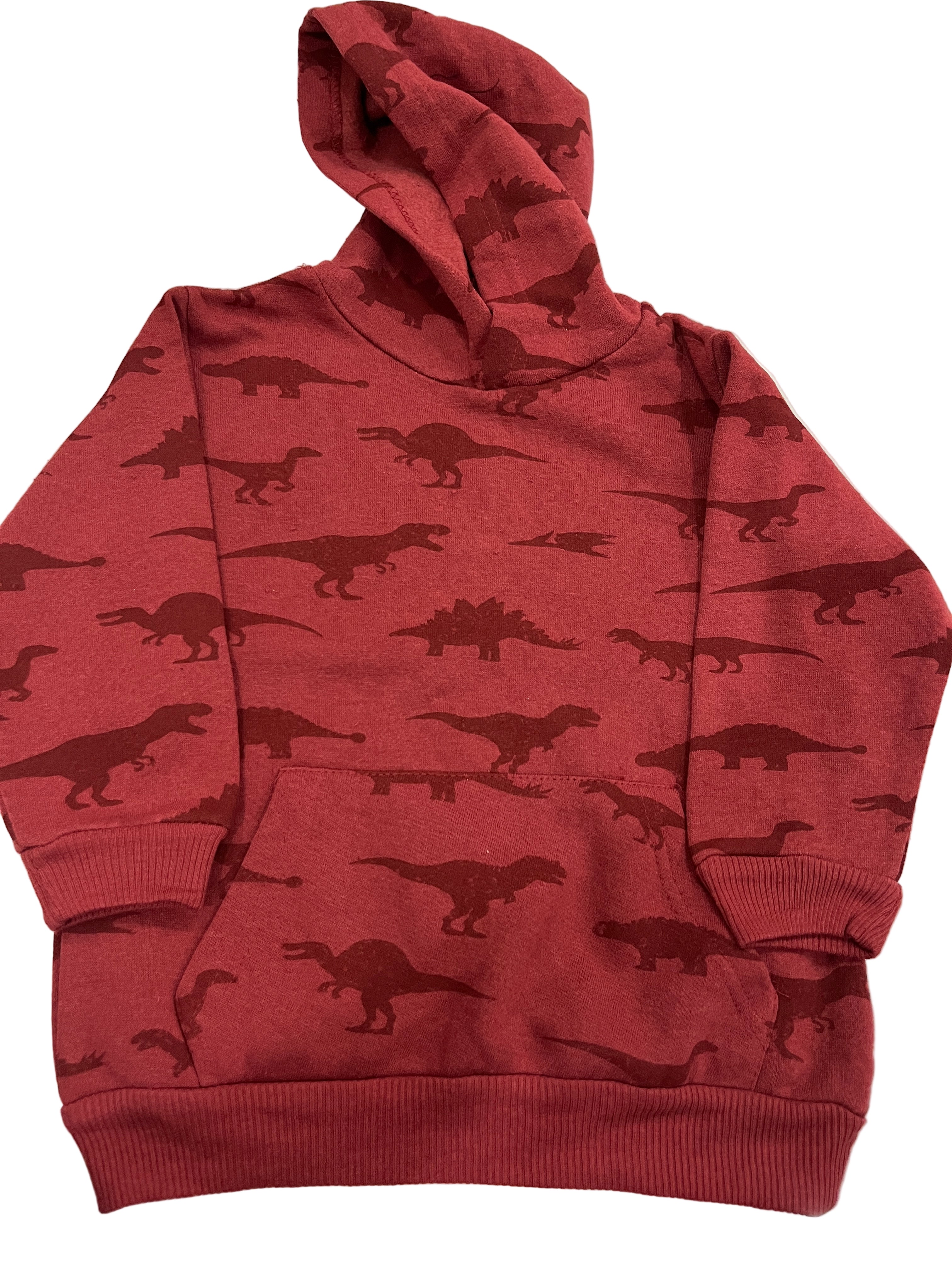 Dino sweatshirt