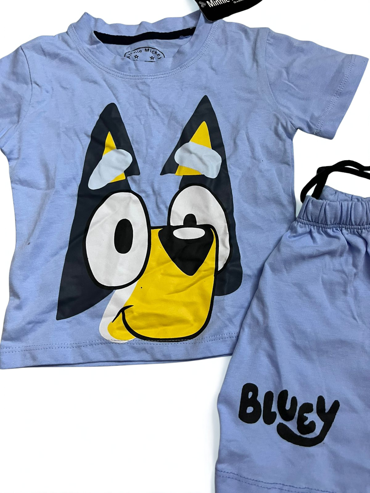 Bluey set
