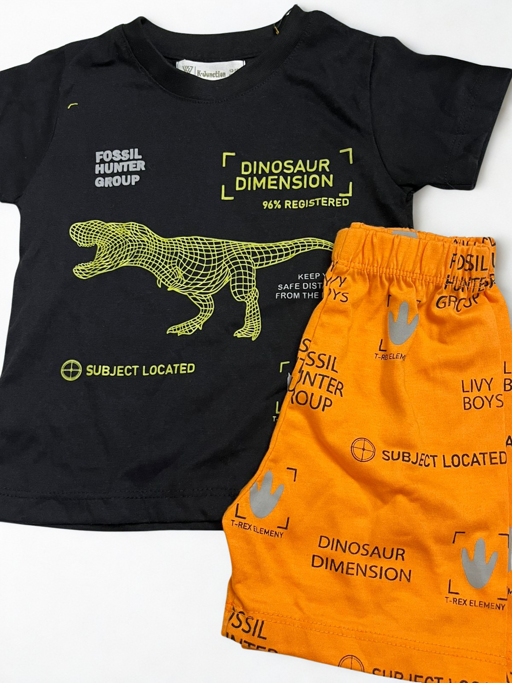 Dino set