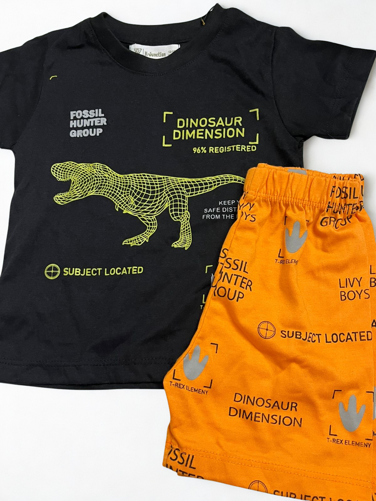 Dino set