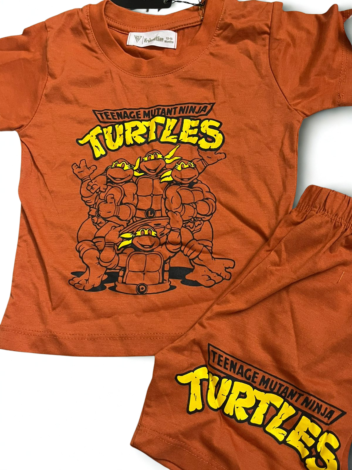 Turtles set