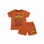Turtles Summer Set
