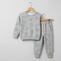 Dinosaur Gray Fleece Tracksuit