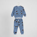 Brown Dolphin In Blue Fleece Tracksuit