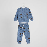Brown Dolphin In Blue Fleece Tracksuit