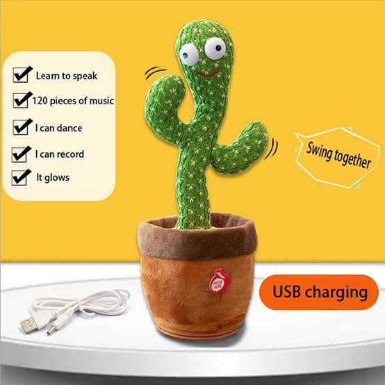Talking Cactus